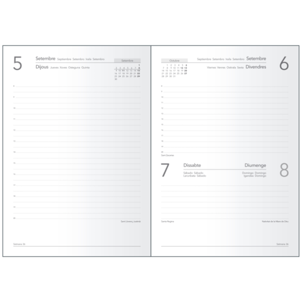 Agenda DOHE Sintex dia pàgina 14x20 cm