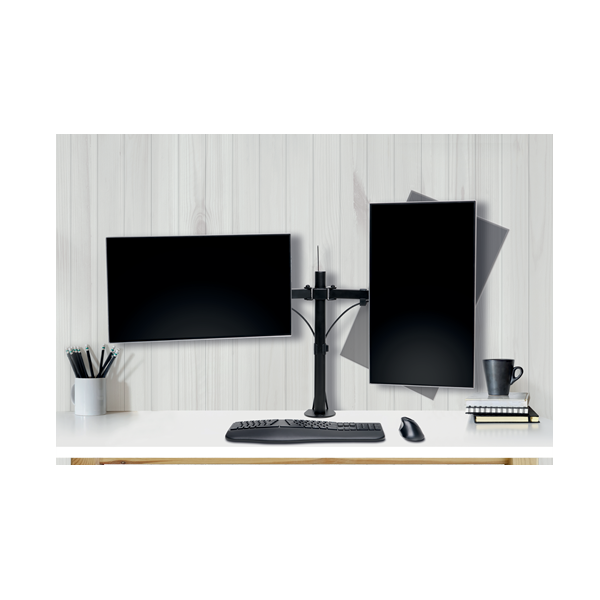 Brazos de monitor SmartFit® Ergo