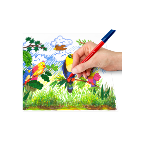 Rotuladores Finos Staedtler Noris 326