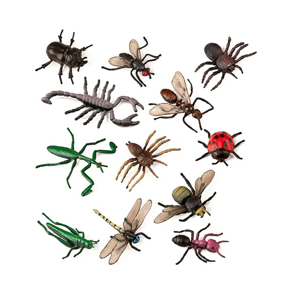 INSECTES 12 FIGURES