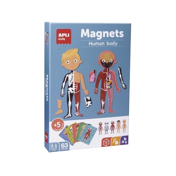 MAGNETS EL CUERPO HUMANO