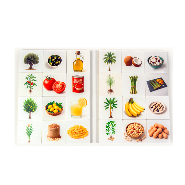 Vegetables food origin