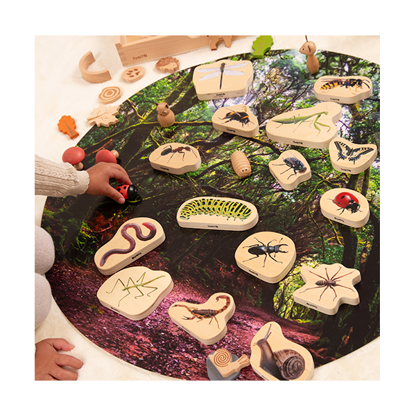 Lot 15 blocs fusta insectes