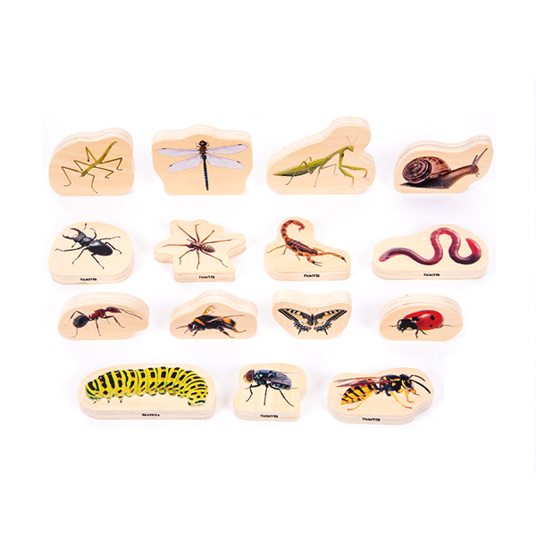 Lot 15 blocs fusta insectes