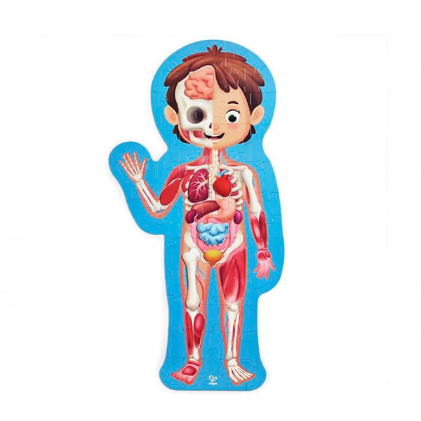 Puzle gegant el cos humà