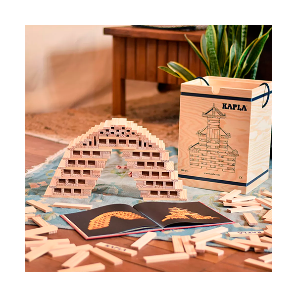 Tauletes KAPLA 280 u. + llibre nivell mitjà: arquitectura i animals