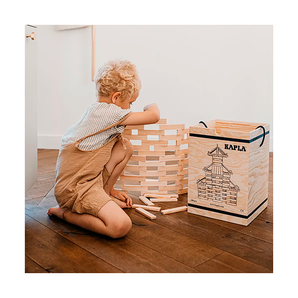 Tauletes KAPLA 280 u. + llibre nivell avançat