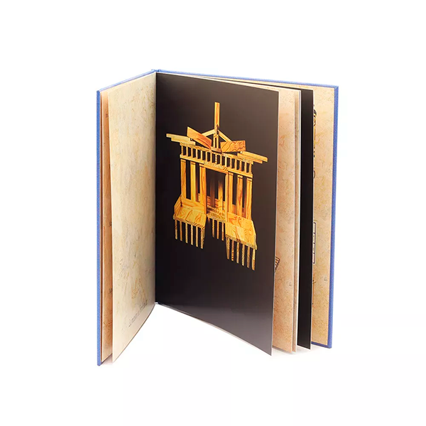 Llibre KAPLA construccions nivell avançat