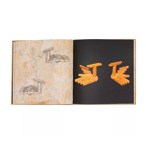 Llibre KAPLA animals nivell fàcil