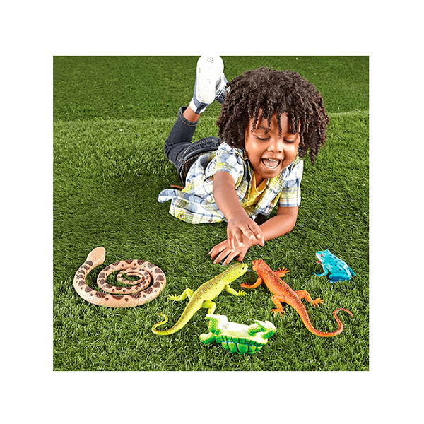 REPTILES Y ANFIBIOS XL